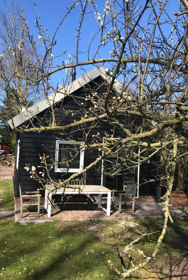 Ijsselmeer Lake Houses Andijk Exterior foto